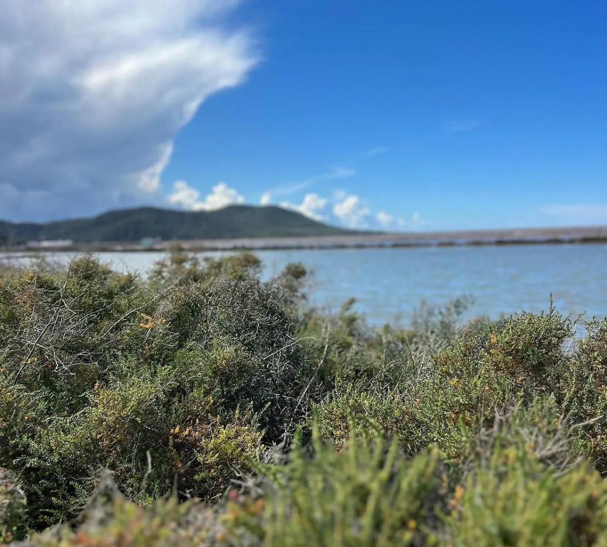 Apartment Private Cottage - Stunning View Salinas Ses Salines